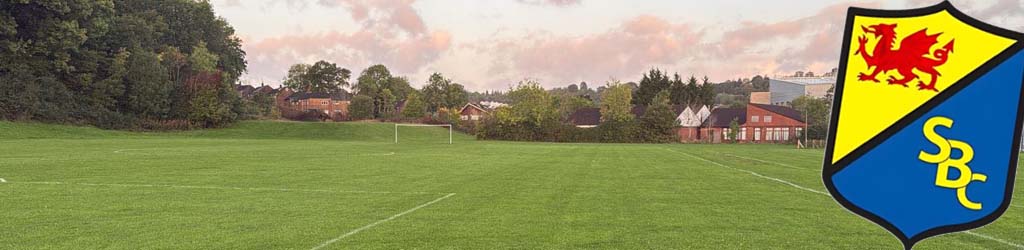 Ringland Park